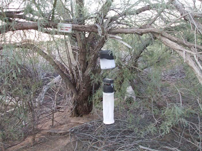 Mosquito traps recreate warm moist CO 2 (human breath), primary dry ice but other traps use