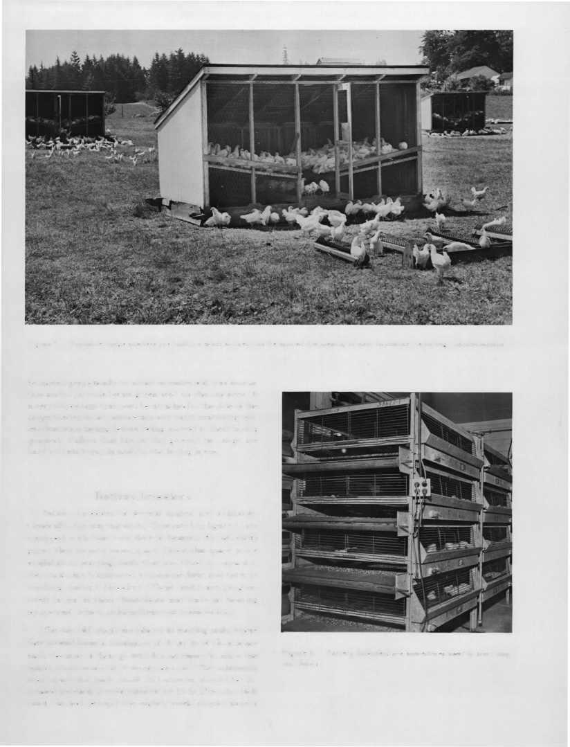 Figure 5. Portable range shelters are built on skids so they can be moved frequently to new locations, reducing contamination.