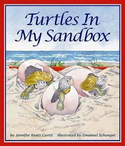 Teaching Activities for Turtles in my Sandbox Sequencing Sentence Strips Geography where in the
