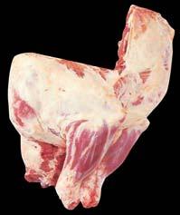 FOREQUARTER PAIR 4960 Forequarter Pair is prepared from a Carcase by a cut along the