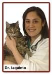 Georges School of  Christina Martins received her Doctorate of Veterinary Medicine in 2014 University of