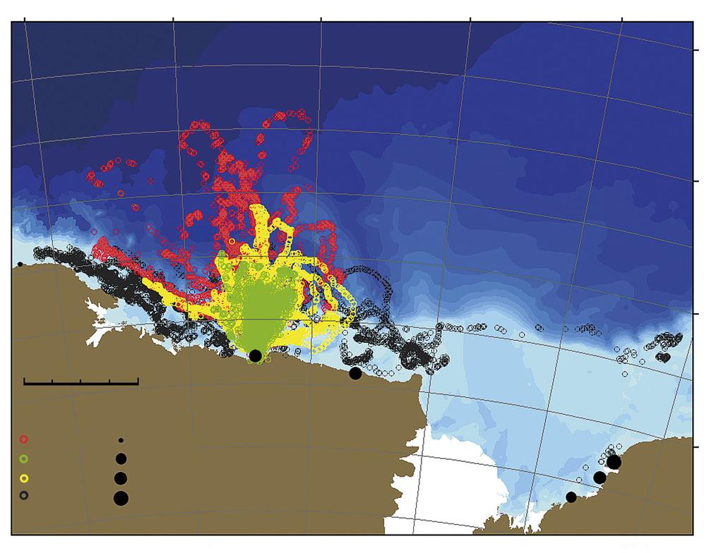 Clarke et al.: Adélie penguin foraging ranges 251 55 E 6 E 65 E 7 E 75 E 62 S 64 S 3 Proclamation Is. Enderby Land Kilometers 1 2 Mawson Coast & Rookery Is.
