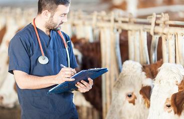 Iowa Farm Bureau s Margin Management Webinar Series presents: Veterinary Feed Directive: What You Need to Know Are you prepared for implementation of the Veterinary Feed Directive on January 1, 2017?