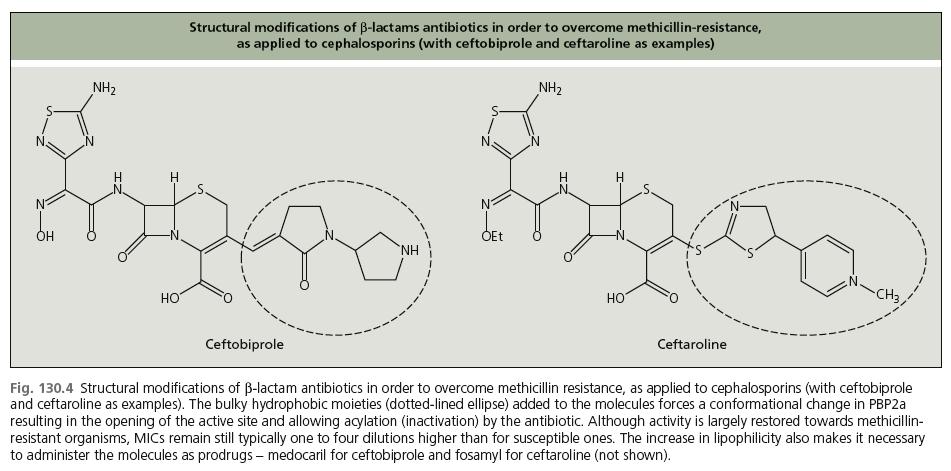 Novel antibiotics: ceftaroline/ceftopibrole - Broad spectrum cephalosporins with anti-mrsa activity - Spectrum: MRSA, VISA, VRSA Multidrug-resistant