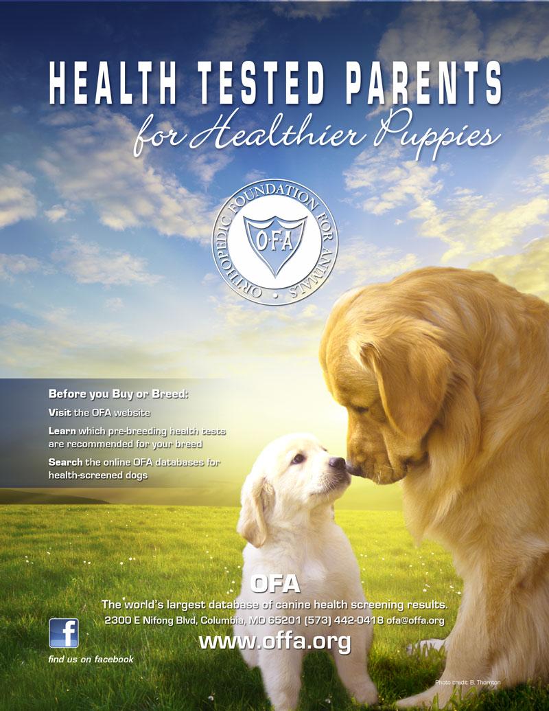 Utilizing Genetic Tests and Health Screenings in Planned Breedings