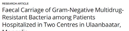 Gram-negative MDR bacteria: in Mongolia? (Study Ulaanbaatar July September 2014) Gram-negative MDR are increasingly reported throughout Asia: ESBL, AmpC-ß-lactamases, carbapenemases! MVZ Dr.