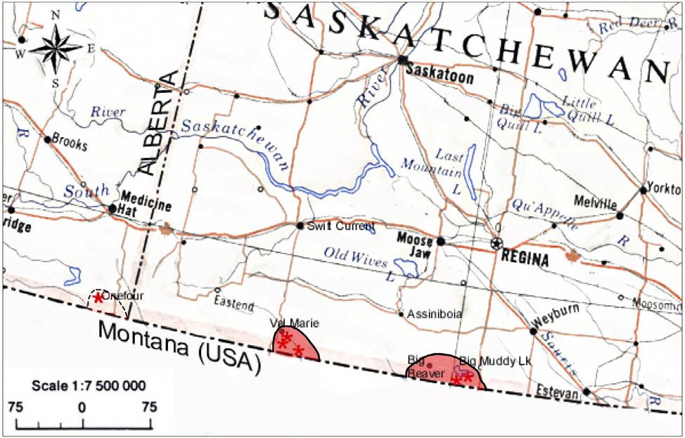 Canadian range In Canada, Coluber constrictor flaviventris has been confirmed only in extreme south central Saskatchewan (Figure 3).