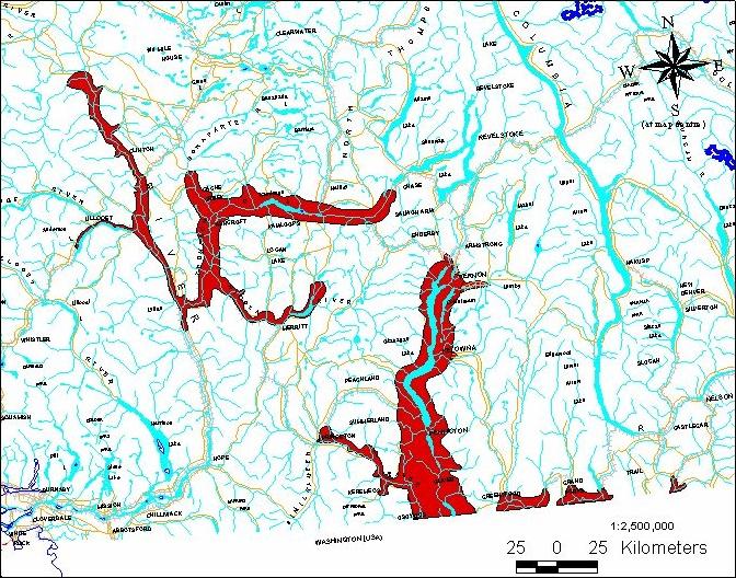 Figure 4. Range of the Western Yellow-bellied Racer, C. c. mormon, in British Columbia (shown as black (or red) shaded areas). Courtesy of J. Hobbs. Ministry of Water, Land and Air Protection 2004.