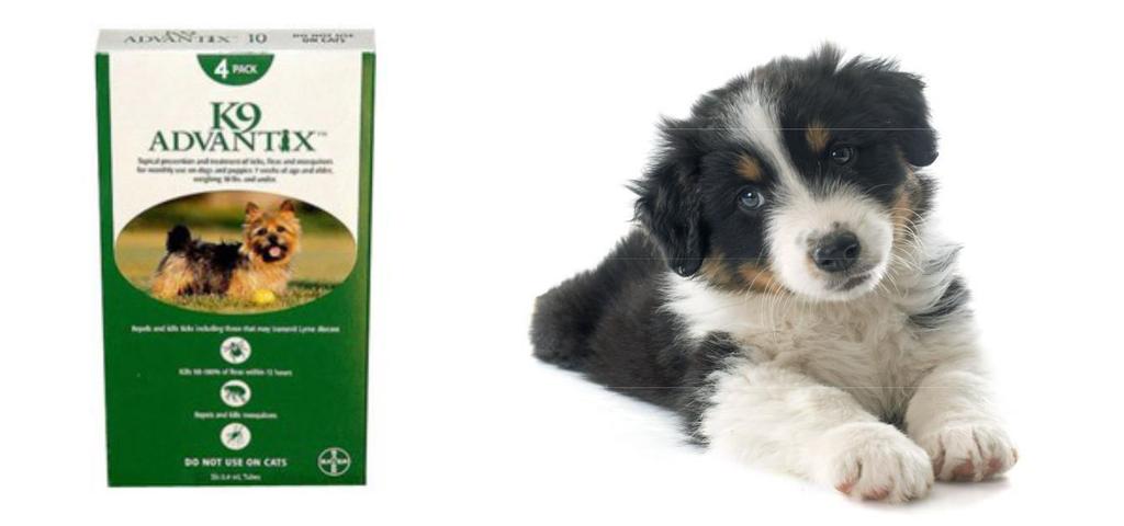 K9 ADVANTIX For use in dogs only. Do not use on cats or rabbits. For use on puppies and adult dogs at least 7 weeks of age.