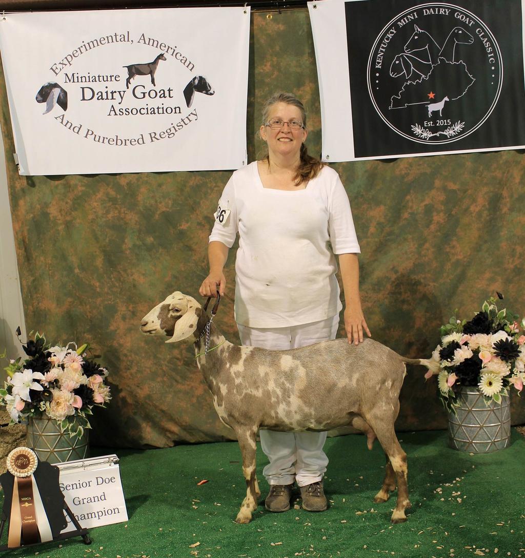 August 2018 Susan with her GCH (unoﬃcial) Sr Doe Blackveil Farm Bow Peep Erik Brown secured the use of the Metcalfe County fairgrounds and their public address system.