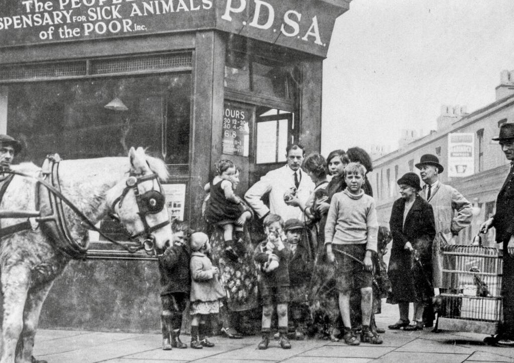 PDSA s commitment to improve animal welfare began in November 1917, when our inspirational founder Maria Dickin opened our first clinic.