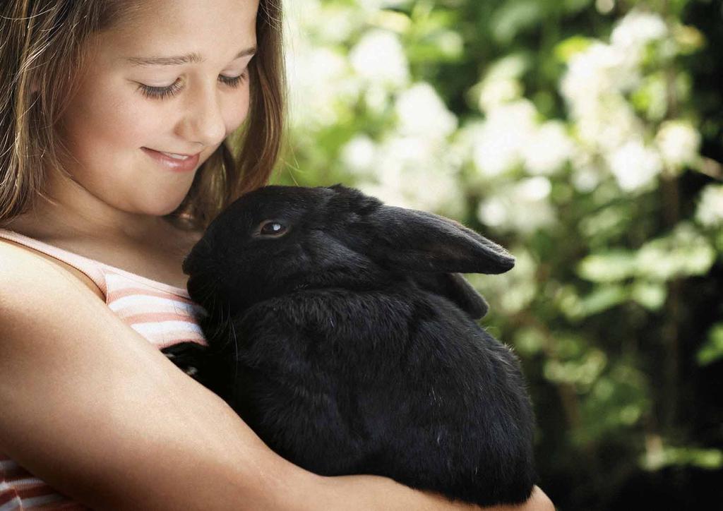 Summary Rabbits diets also remain at the top of the veterinary profession s concerns, perhaps because of recent work to highlight their dietary issues coupled with daily clinical experience of
