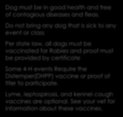 Dog Health requirements Dog must be in good health and free of contagious diseases and fleas.