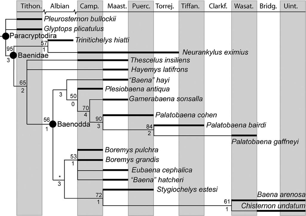 LYSON AND JOYCE A NEW BAENID TURTLE 397 FIGURE 2. Paracryptodiran cladogram mapped against the stratigraphic range from which each taxon has been reported (bold lines).