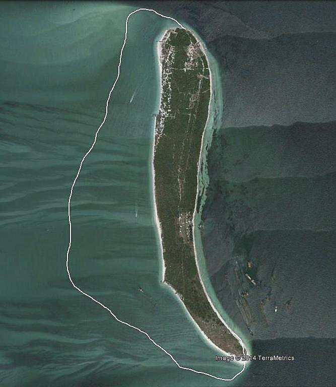 Two Florida Box Turtles resting in close proximity. Aerial view of Egmont Key. The white line shows the historical maximum extent of the island. This photograph was taken on 4 February 2016.