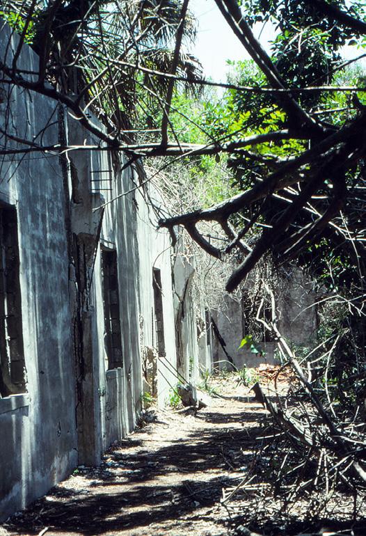91 American War installation (Fort Dade) whose concrete buildings have been partially restored at the northern end of the island.