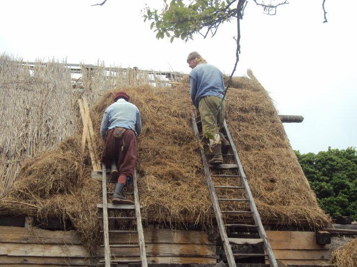 The colonists had thatched roofs on their houses to keep out the sun, wind and rain. To make the roofs, they cut grasses and reeds from the marshes, and bundled them.