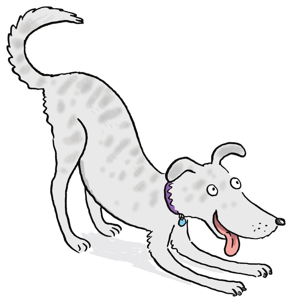 Understanding a dog s body language Dogs speak using their own vocabulary (noises