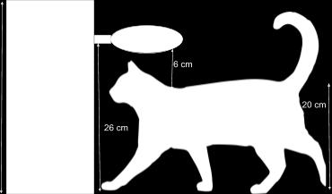 The average cat is about 24 cm tall, to account for the fact that when walking a cat s neck and back are slightly lower than it s head we estimated the cat s neck and back to be 20 cm from the ground.