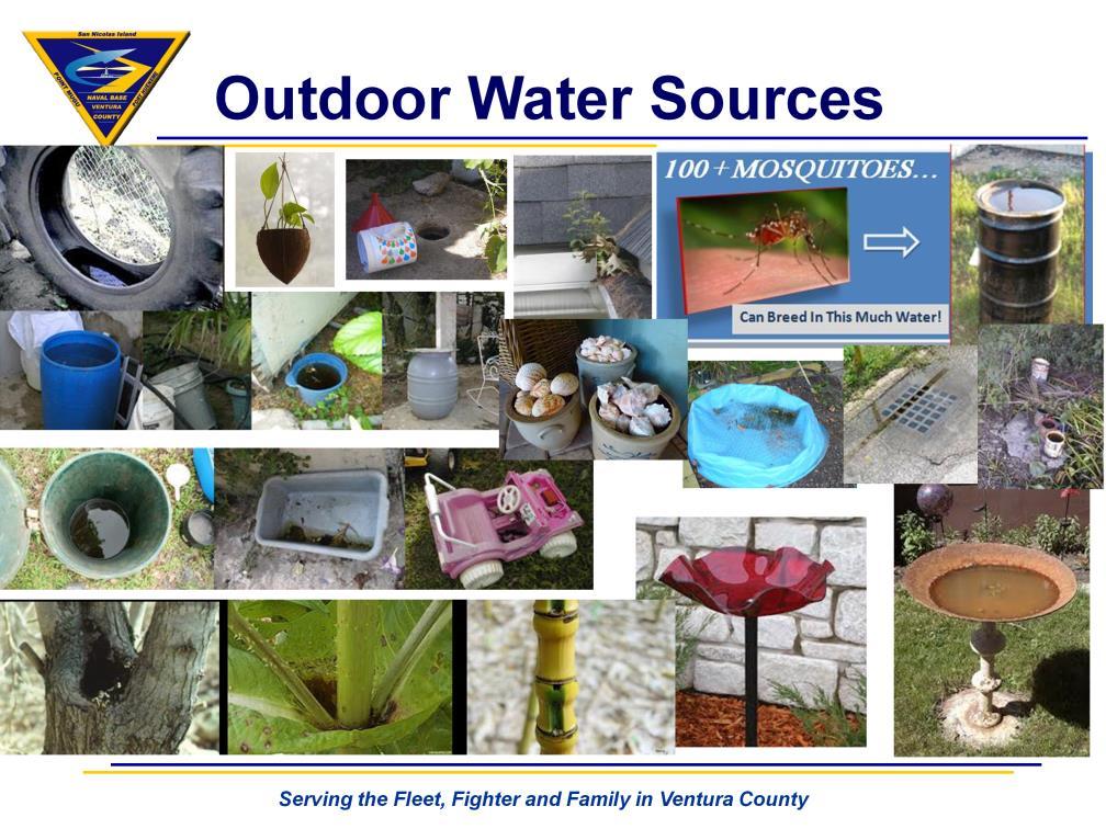 Tires Holes/depressions in the ground or paved surfaces Rain barrels Pottery Rain gutters Toys Bird feeders Bird baths Pet dishes