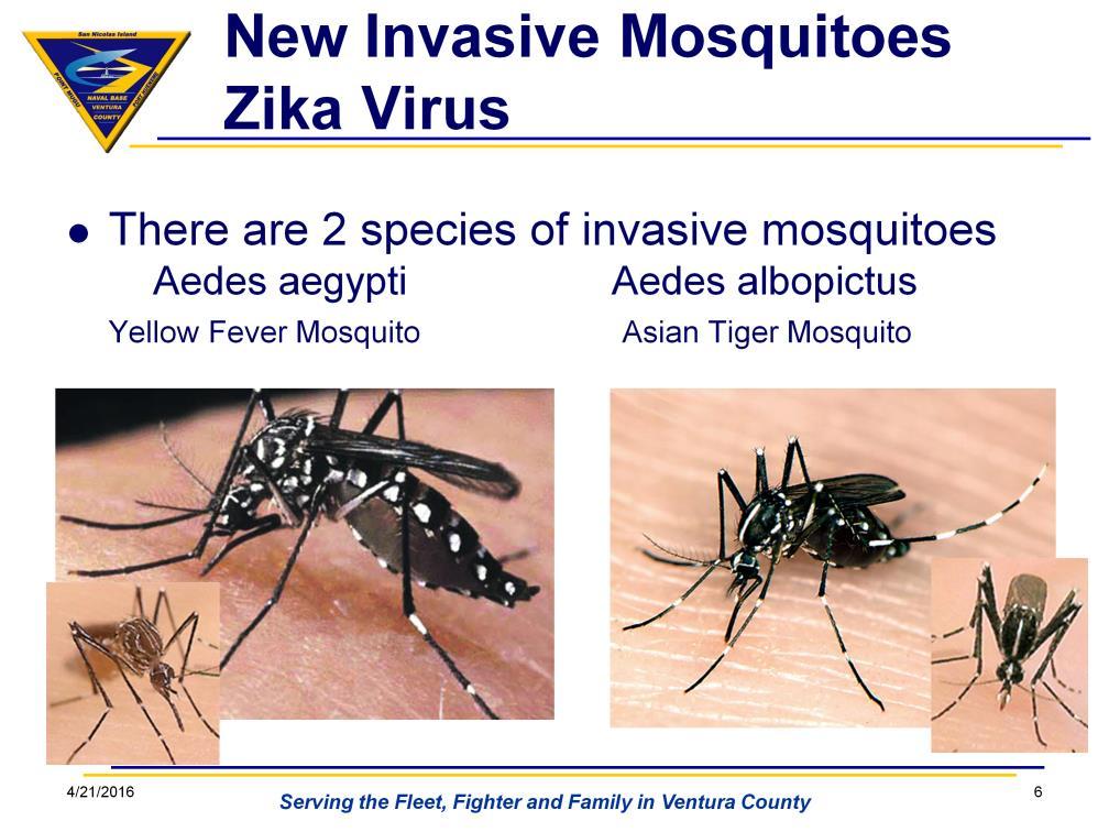 There are 2 species of invasive mosquito reported in the US since 2011 and a few counties in California: Aedes aegypti (Yellow Fever Mosquito, Africa) and Aedes albopictus (Asian Tiger Mosquito,