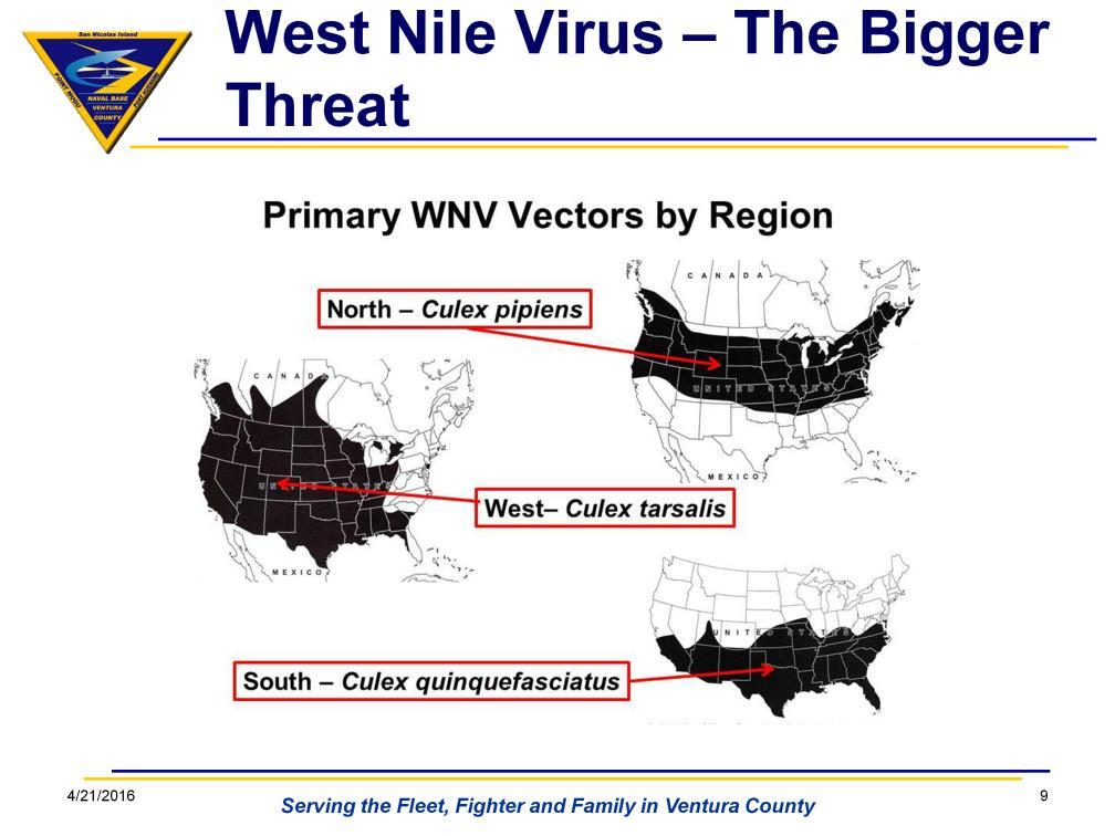 West Nile virus (WNV) is a mosquito-borne disease that was originally found in Africa.