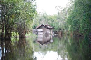 ) As the team approached the raft house, it became immediately evident that its location is in the middle of a densely forested wetland with a variety of aquatic vegetation