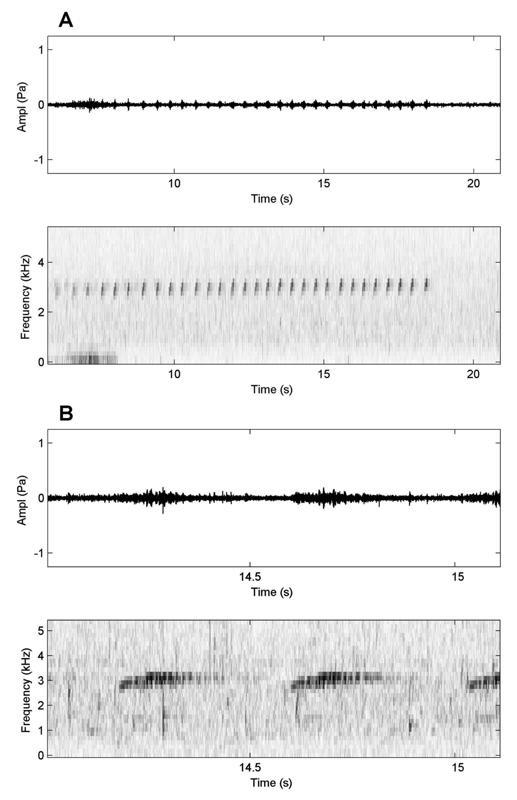 158 César L. Barrio-Amorós et al. Figure 5. Audiospectrograms of vocalizations by an individual of Mannophryne riveroi, issuing a trilled call.