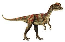 Dilophosaurus Carnivorous