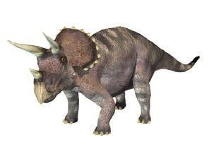 Triceratops Herbivorous