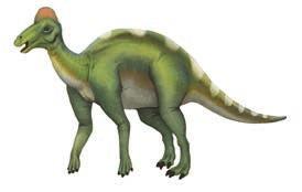 Hypacrosaurus Herbivorous Dinosaur