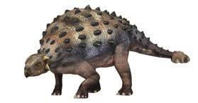 Ankylosaurus Herbivorous Dinosaur Triassic Jurassic Cretaceous 9~10m Ankylosaurus had a solid body