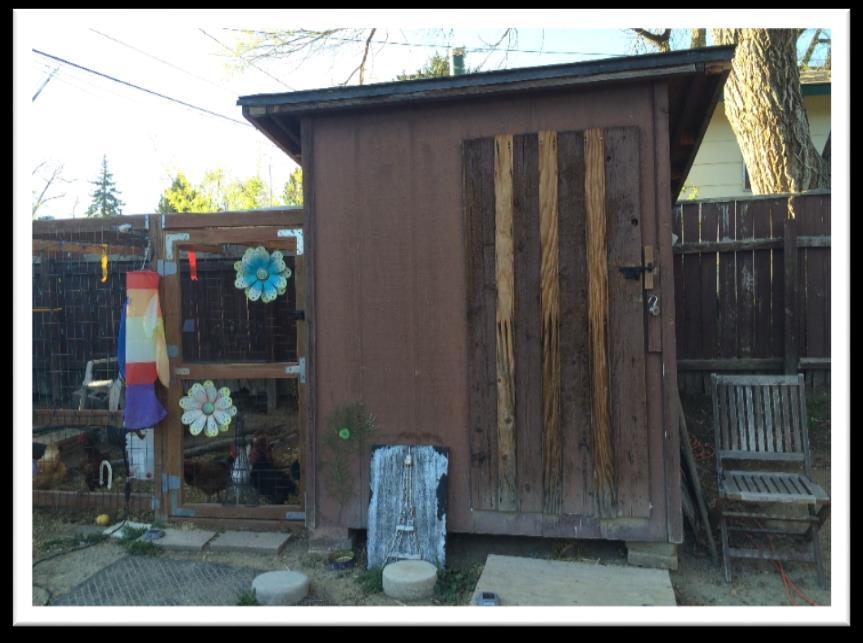 Nancy Brisk 1124 Prairie Road, Colorado Springs, 80909 Open: Saturday 9-1/ Sunday 9-1 "We have had chickens just over a year and love it!