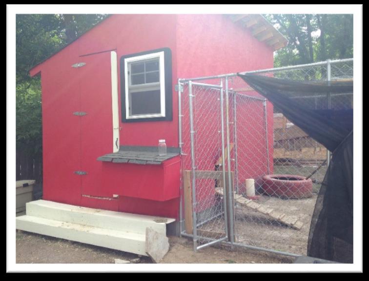 Rick & Denny Strong 2812 Sage Street, Colorado Springs, 80907 Open: Saturday 9-4/ Sunday 12-4 We designed and built our chicken coop last July - after attending the chicken coop tour for several