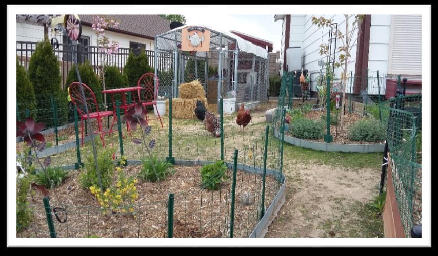 Pilar Umnuss 645 Loomis Ave, Colorado Springs, 80906 Open: Sunday 9-4 Area around chicken coop features mixed use small yard landscaping to include coop, run and yard with zones of edible and