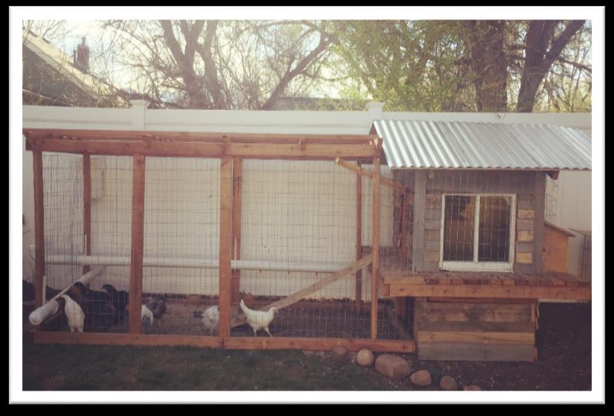 Celeste Sandoval 526 E. Columbia St., Colorado Springs, 80907 Open: Sunday 12-4 Our coop is a fun little replica of our kids custom built playhouse built special just for our flock.