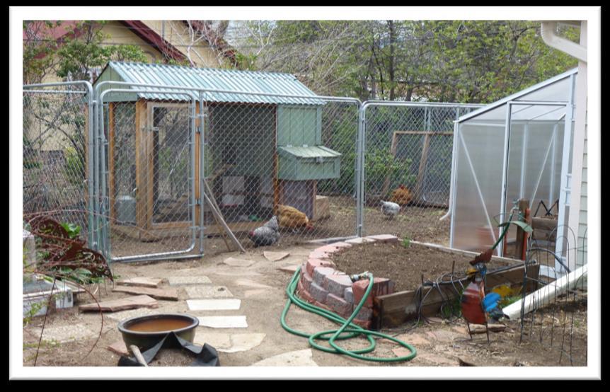 John and Louise Conner 712 N Cedar St, Colorado Springs, 80903 Open: Sunday 9-4 We got our first chickens in May of 2007.