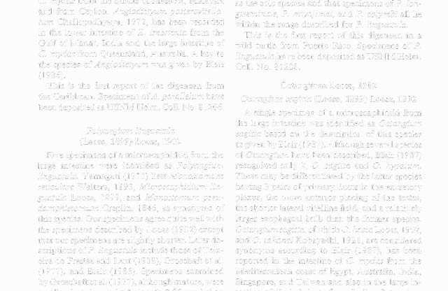 178 JOURNAL OF THE HELMINTHOLOGICAL SOCIETY Microscaphidiidae Travassos, 1922 Microscaphidiinae Looss, 1900 Angiodictyum parallelum (Looss, 1901) Looss, 1902 Sixty-five specimens of a microscaphidiid