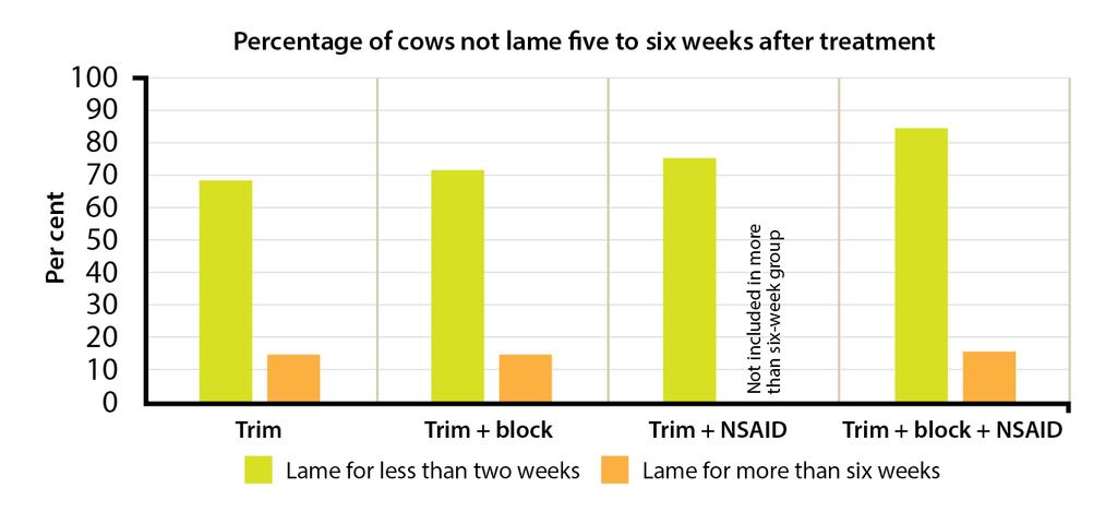 programme, as fortnightly scoring following prompt treatment of new cases of lameness is proven to reduce lameness at herd level (Groenevelt et al, 2014).