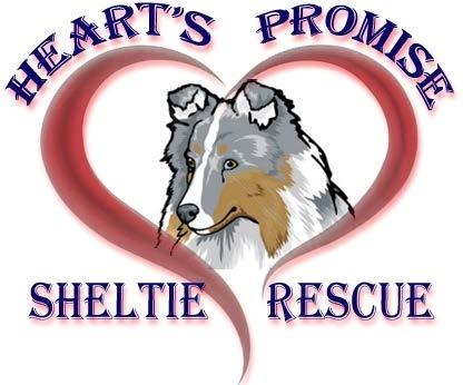 Heart s Promise Sheltie Rescue New Castle, PA 16105 www.pasheltierescue.