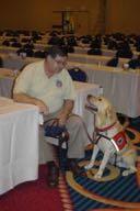 DIABETES DOGS CHIEF WILL INITIALLY SIT AND LOOK AT ME.