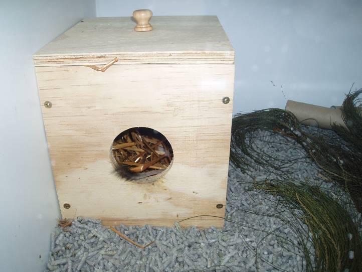 4.8 Nestboxes and/or Bedding Material Nest boxes are essential furniture for dasyurids, excluding the marsupial mole (Jackson, 2003).