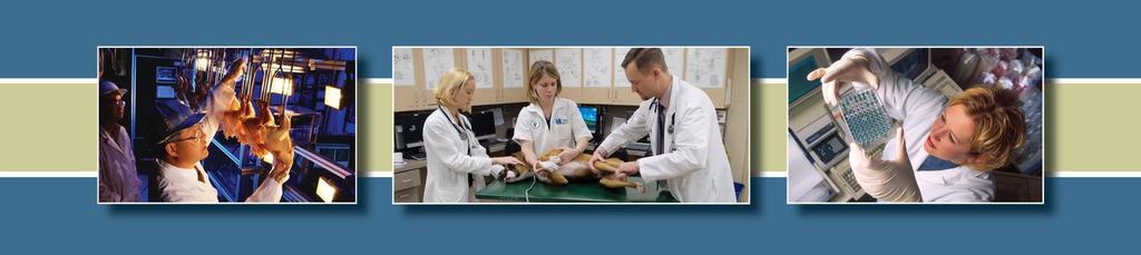 4-H Veterinary Science Program