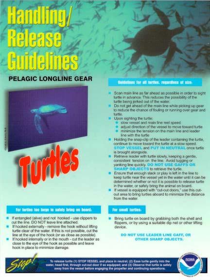 2. U.S. longline fisheries sea turtle handling guidelines (www.nmfs.noaa.