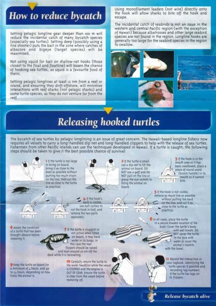 3. Western and Central Pacific longline fisheries sea turtle handling