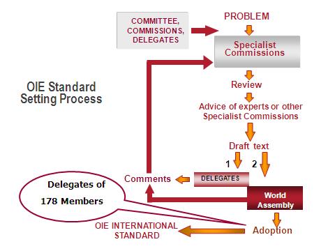 COMMITTEE, COMMISSIONS, DELEGATES PROBLEM Specialist Commissions OIE Standard Setting Process Review Advice of experts or other