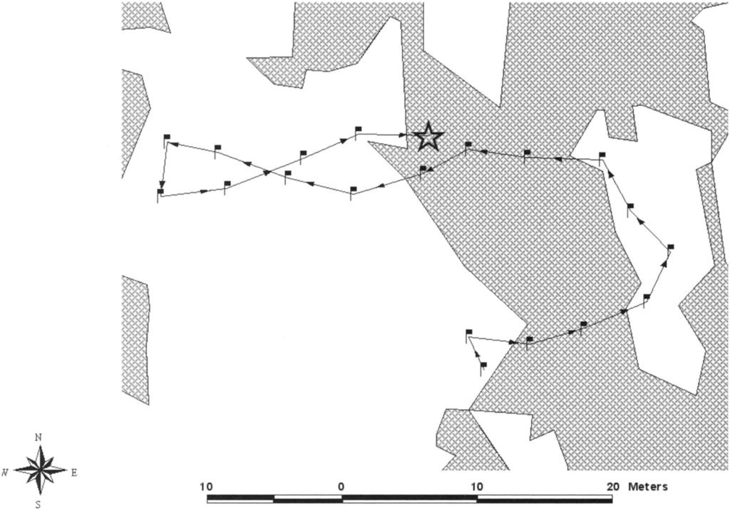 SHORTER COMMUNICATIONS 171 10 0 10 20 Meters FIG. 1. Path of an adult female Texas Horned Lizard at AF on 22 July 1999.