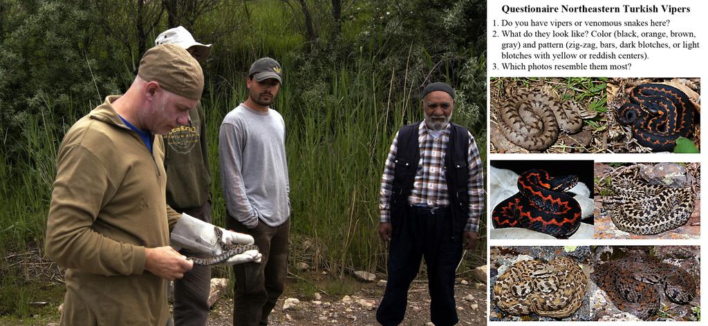 MEBERT ET AL. Fig. 1. Interviewing local residents about the occurrence, threat, and biology of vipers inhabiting an area using a questionnaire with images of regional species.