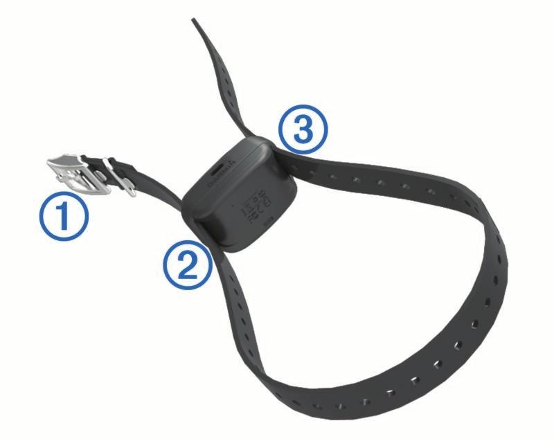 the collar strap through the slot Á on the collar device. Device Overviews Delta XC Handheld Device 2 Pull approximately two-thirds of the collar strap through the slot.