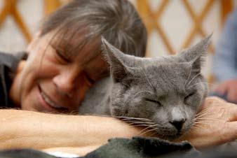 Socializing Very Shy or Fearful Cats 15 Tips....................... Talk to the cat in a soothing voice while you are working with him.